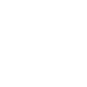 playBtn